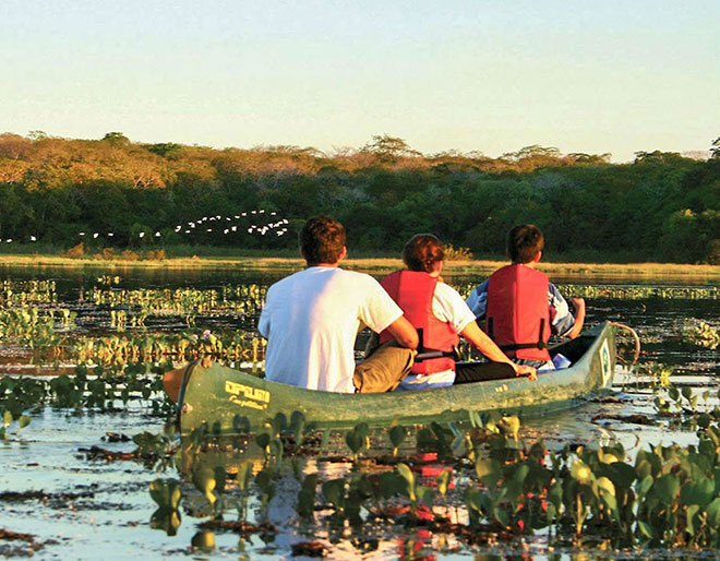 Pantanal