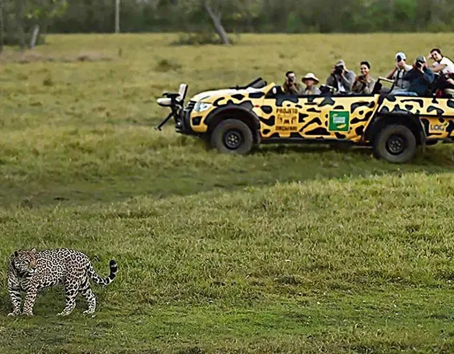 Pantanal