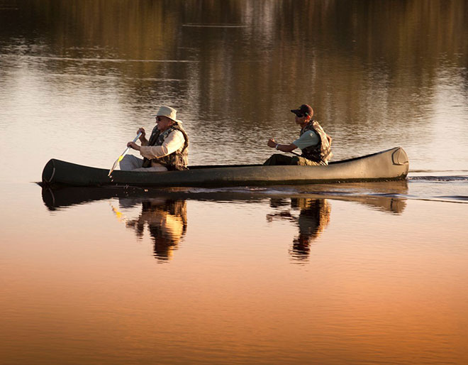 Discover Pantanal