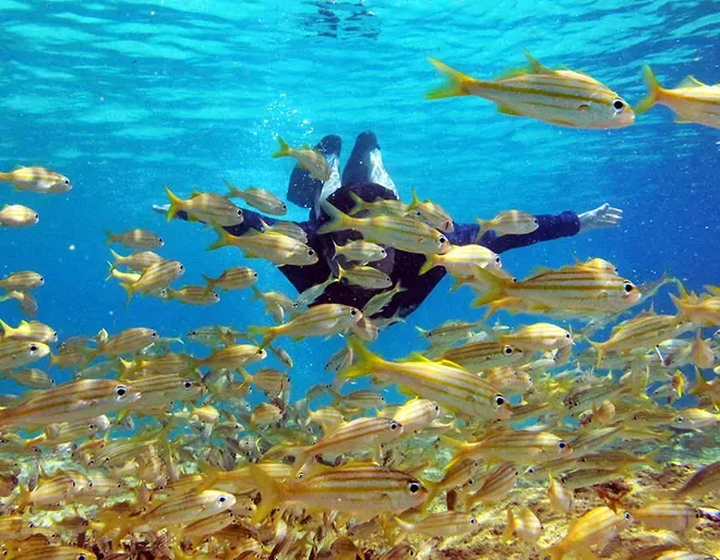 Fernando de Noronha