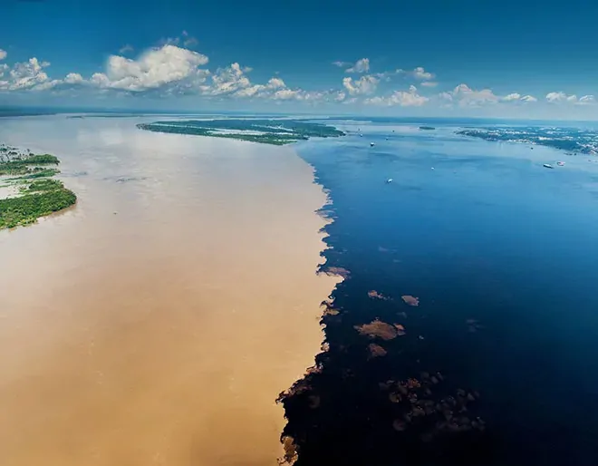 Amazon Rainforest
