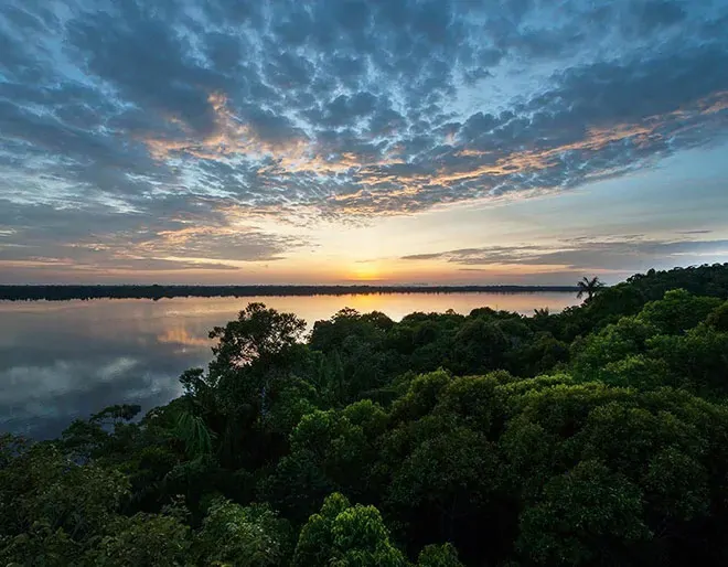 Discover Amazon Rainforest