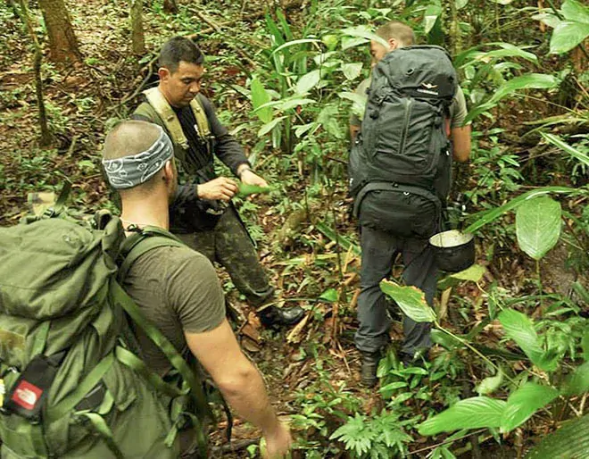 Discover Amazon Rainforest